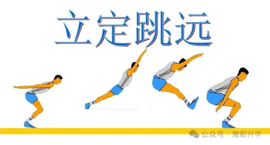 篮球基本功训练计划视频讲解_2